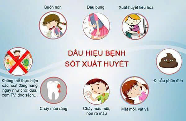 Bệnh sốt xuất huyết