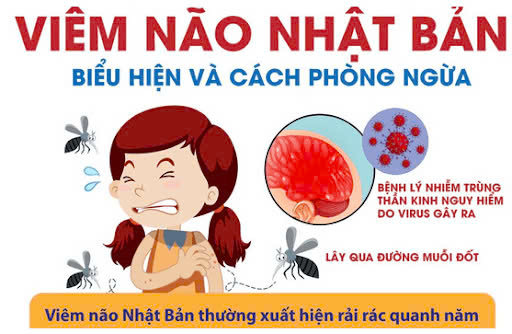 Phòng bệnh viêm não Nhật Bản B