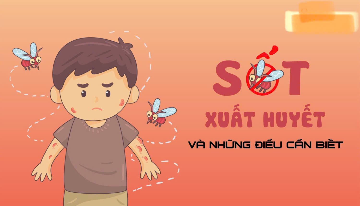 Bệnh Sốt xuất huyết